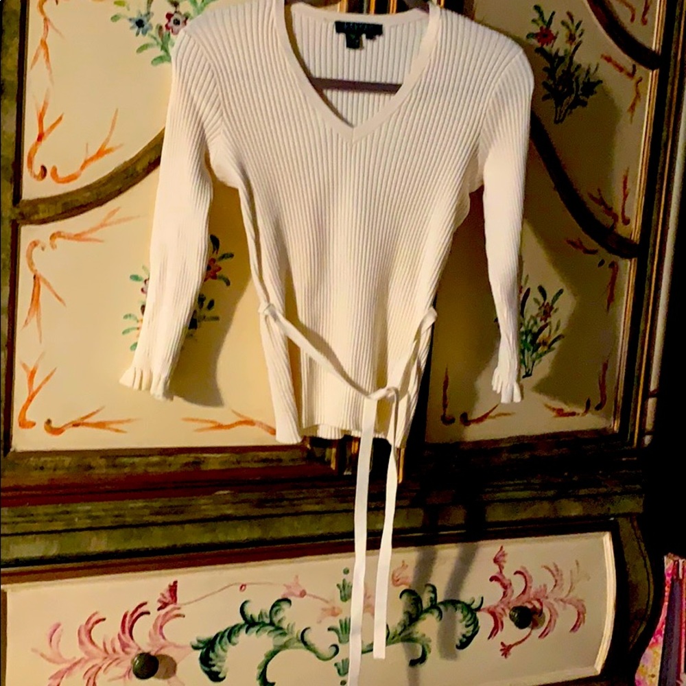 NWOT Lauren Petite P/S Silk w/nylon & spandex top